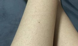 吃鸡皮肤爆料最新龙形车,吃鸡战场再添神秘力量